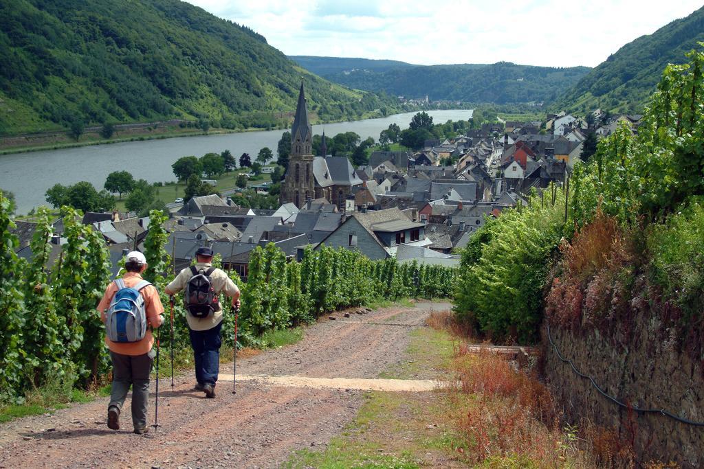 Wein- Und Gaestehaus St. Aldegundishof Sankt Aldegund Zewnętrze zdjęcie