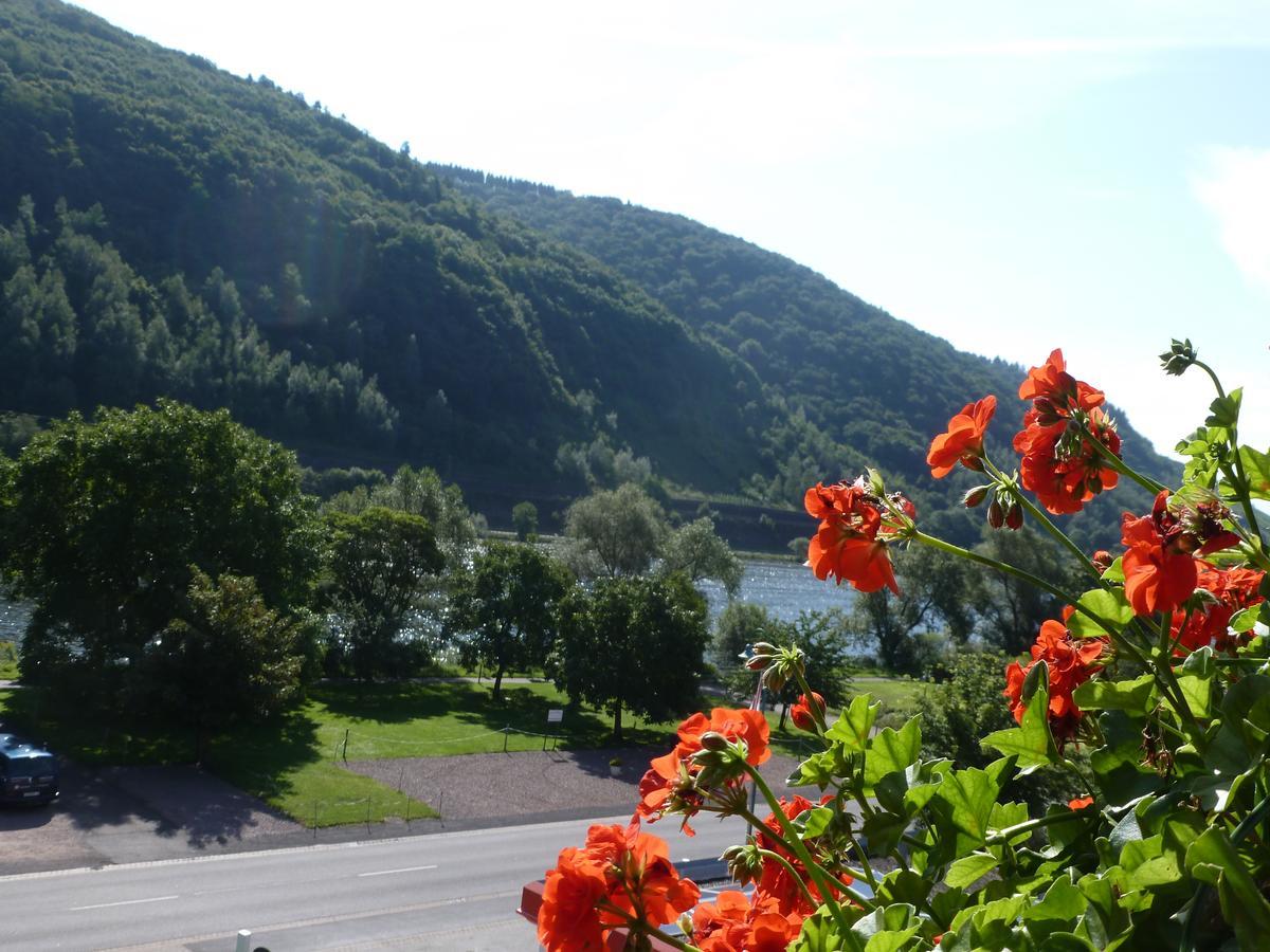 Wein- Und Gaestehaus St. Aldegundishof Sankt Aldegund Zewnętrze zdjęcie