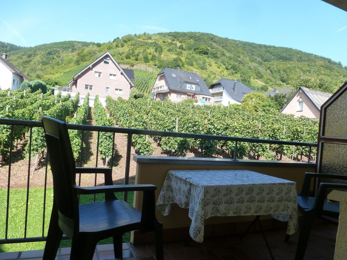 Wein- Und Gaestehaus St. Aldegundishof Sankt Aldegund Zewnętrze zdjęcie